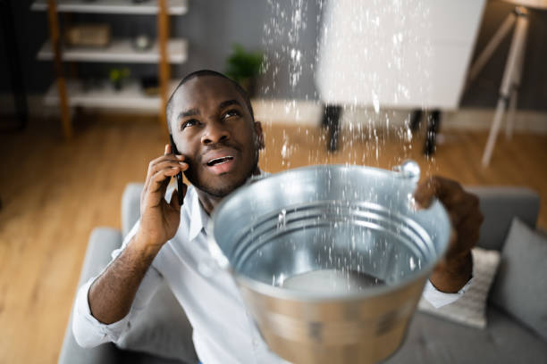 Best 24/7 water damage repair  in Rolla, MO