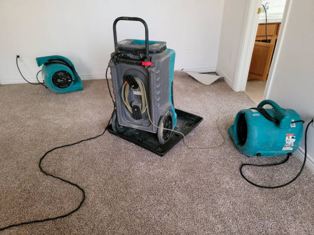 Best Carpet water damage restoration  in Rolla, MO