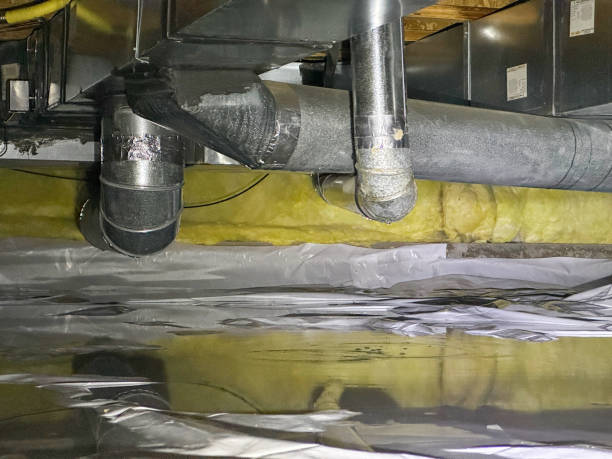 Best Professional water damage repair  in Rolla, MO