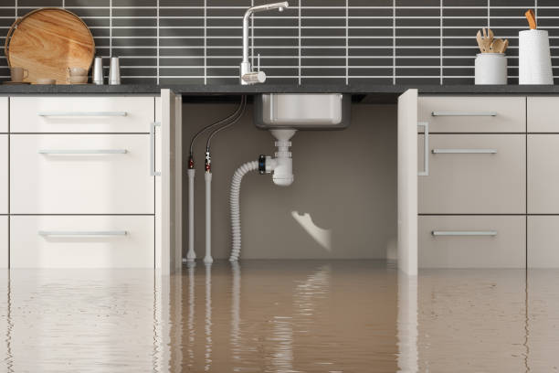Best 24-hour water damage restoration  in Rolla, MO